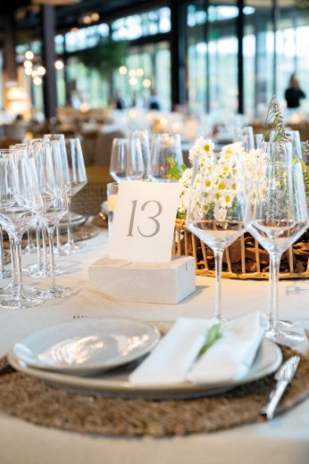 BODA ARIANA Y SANTIAGO