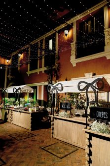 15 AÑOS SOFIA LJUNGGREN