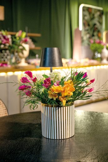 15 AÑOS LUCIANA ABENTE