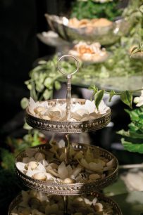 BODA STEPHIE Y MATIAS